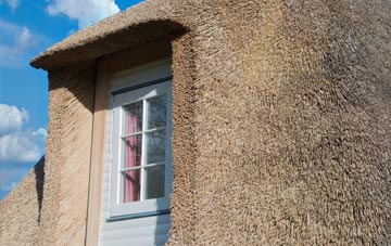Coundongate thatch roof disadvantages